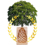 Wooden Cookie Cutter Mould