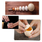 Eggshell Opener