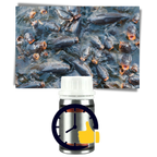 Attractive Fish Lure