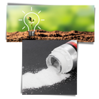 Attractive Fish Lure