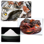 Attractive Fish Lure