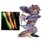 Artificial Fishing Bait Set