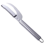 Fish and Seafood Knife