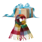 Plaid Women's Winter Scarf