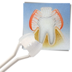 Three-sided Toothbrush For Adults and Kids