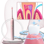 Adult Sonic Electric Toothbrush