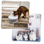 Auto water fountain for cat with LED light