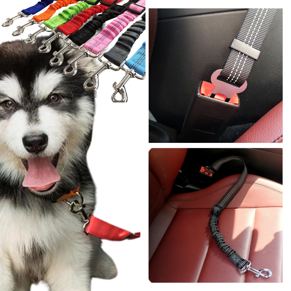 Adjustable and Durable Dog Safety Belt For Cars