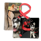 Adjustable and Durable Dog Safety Belt For Cars