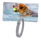 Anti-Flea Collar for Pets