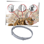 Anti-Flea Collar for Pets