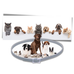 Anti-Flea Collar for Pets