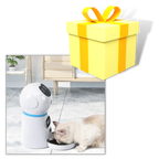 Automatic Pet Food Dispenser