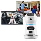 Automatic Pet Food Dispenser