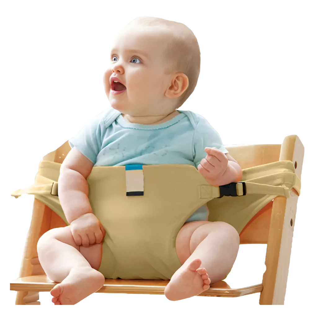 Adjustable Portable High Chair