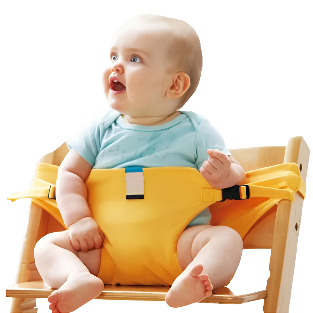 Adjustable Portable High Chair