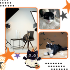 Adorable Batman Cat Mask