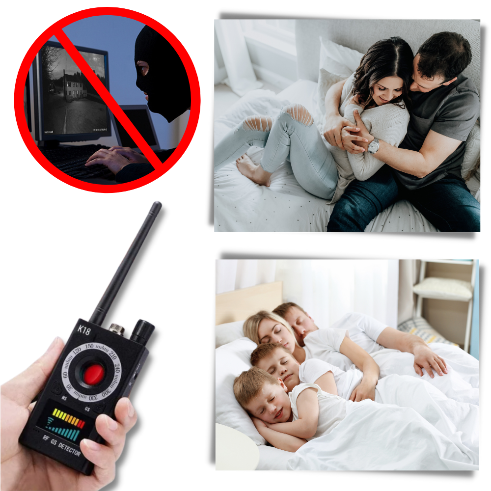 Advanced Frequency bug detector