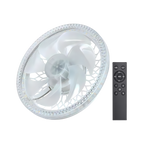 Aesthetic Ceiling Fan With Light And Remote