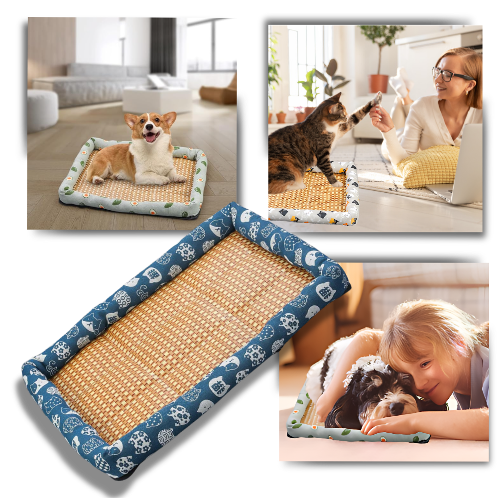 Anti-Slip Cooling Technology Pet Mat