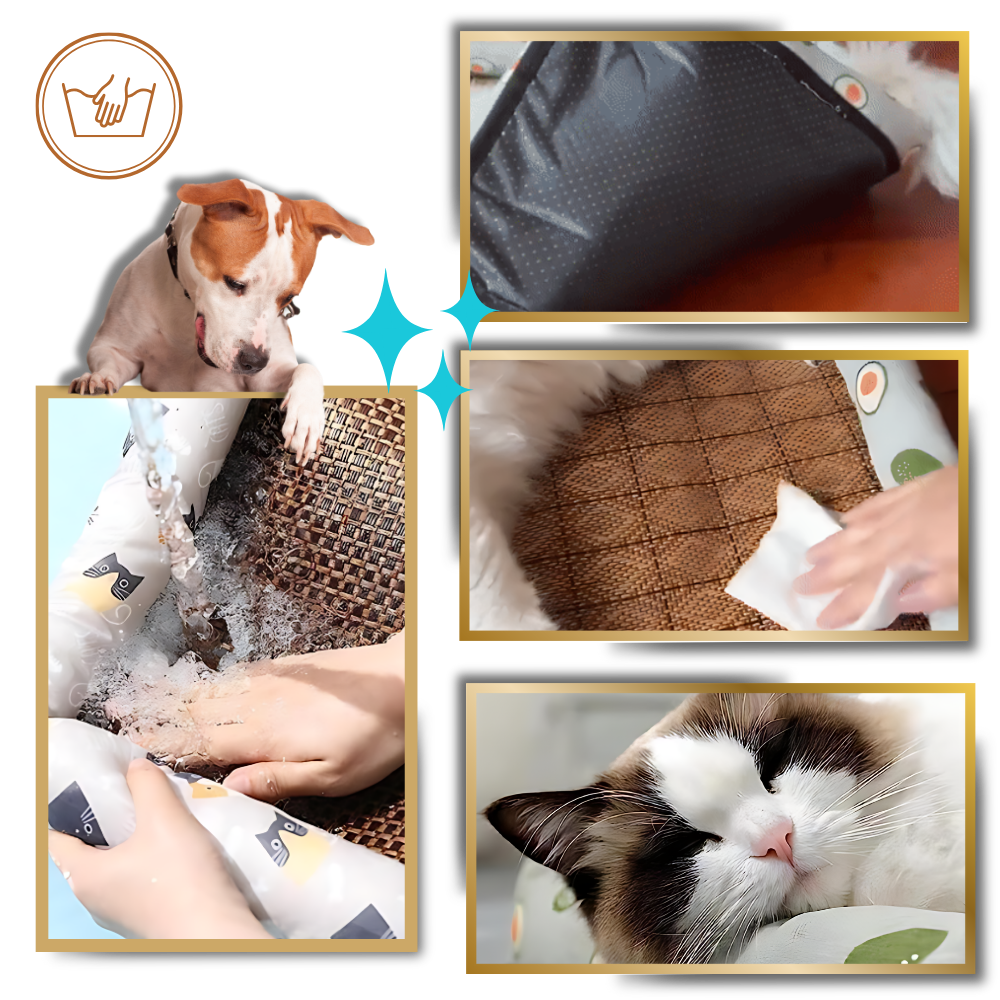 Anti-Slip Cooling Technology Pet Mat
