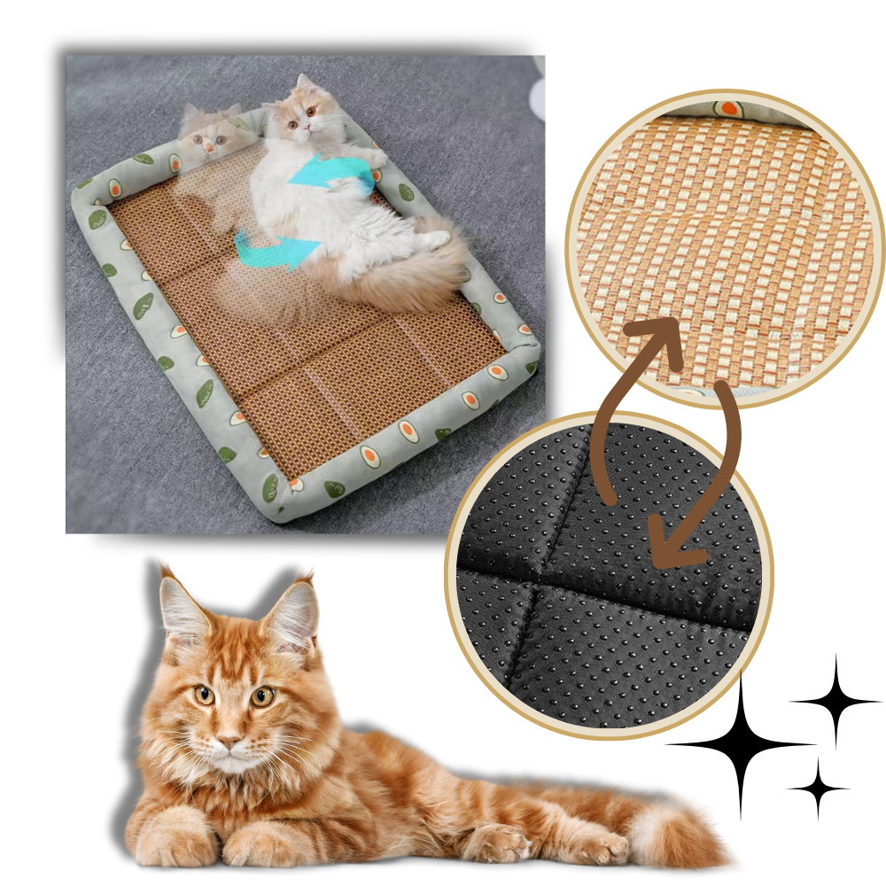 Anti-Slip Cooling Technology Pet Mat