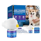Anxiety Relief For Pets