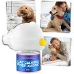 Anxiety Relief For Pets