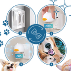 Anxiety Relief For Pets