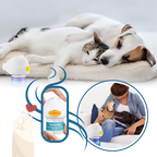 Anxiety Relief For Pets