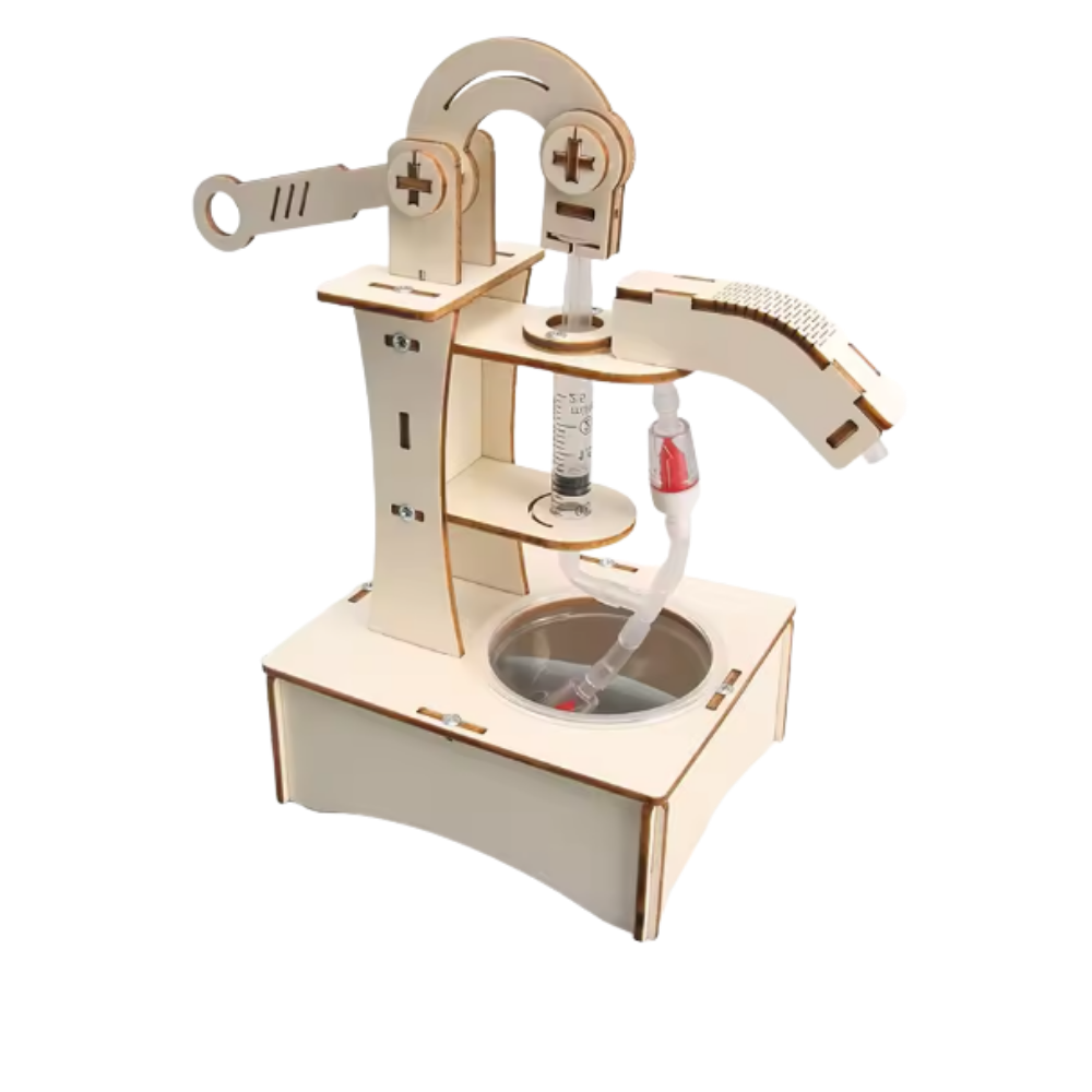 Assembly Wooden Science Toy