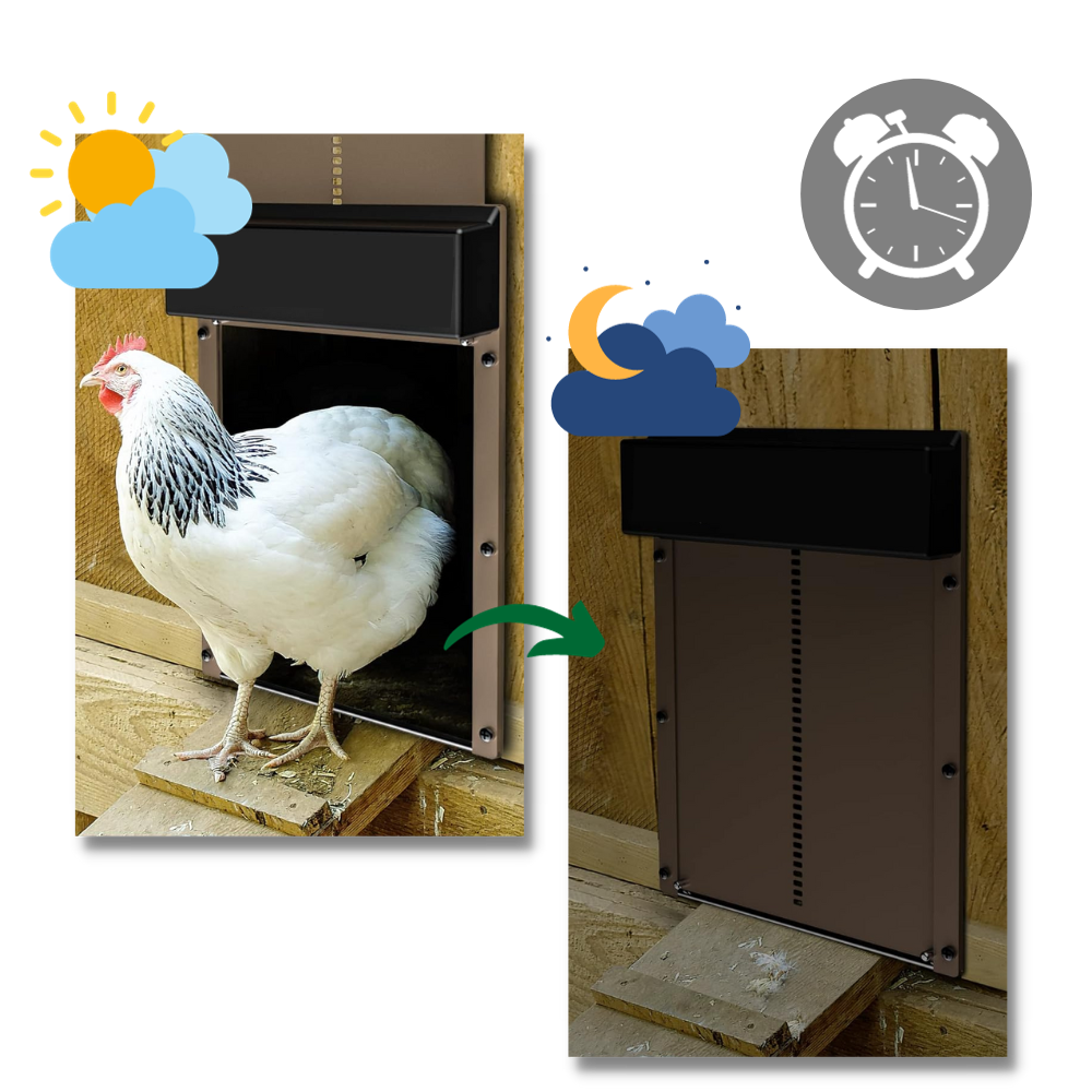 Automatic Chicken Coop Door