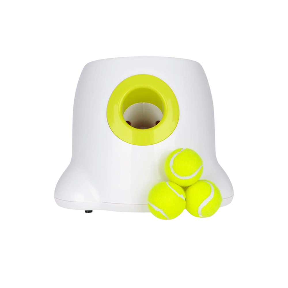 Automatic Dog Ball Launcher