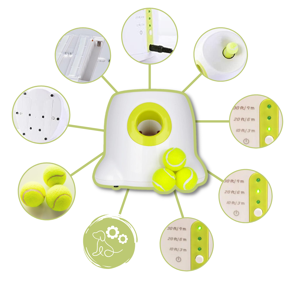 Automatic Dog Ball Launcher