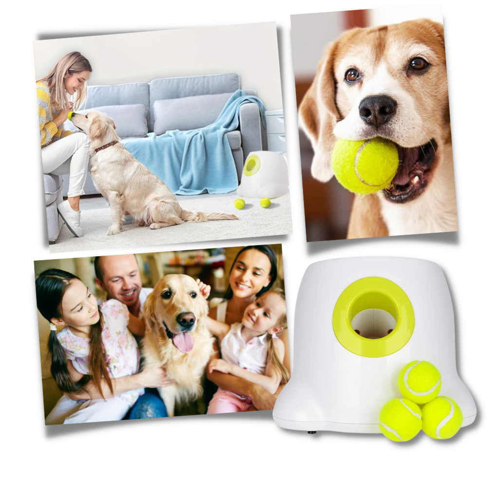 Automatic Dog Ball Launcher