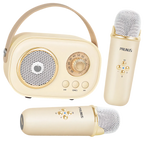 Bluetooth Dual Mic Kids Mini Karaoke