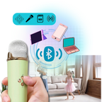 Bluetooth Dual Mic Kids Mini Karaoke