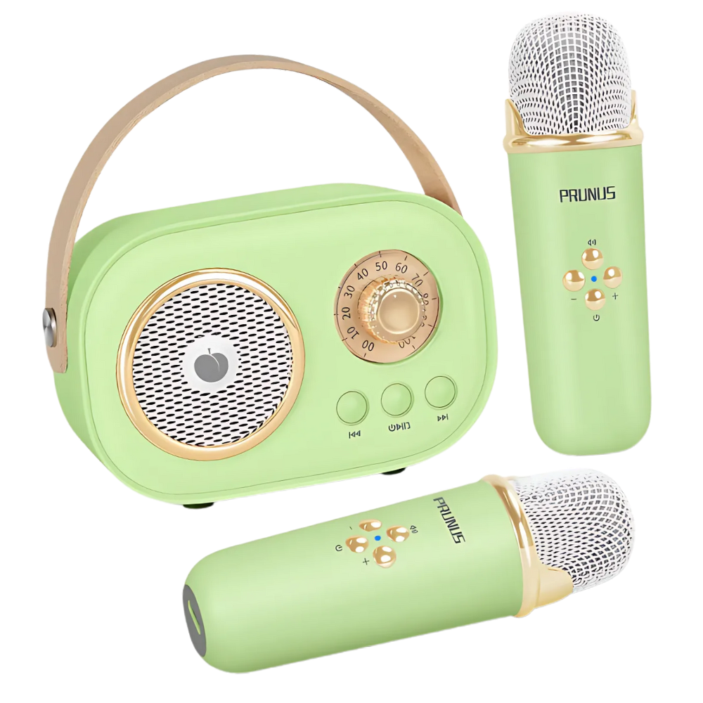 Bluetooth Dual Mic Kids Mini Karaoke