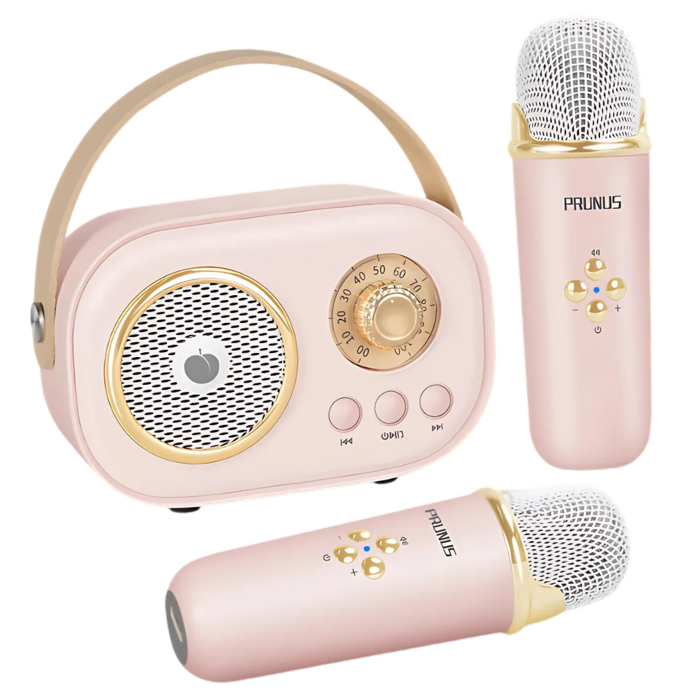 Bluetooth Dual Mic Kids Mini Karaoke