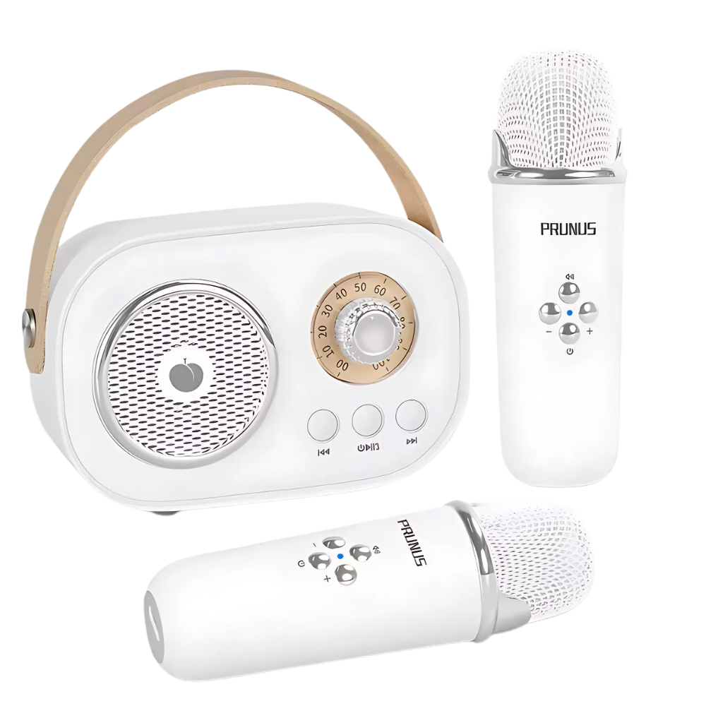 Bluetooth Dual Mic Kids Mini Karaoke