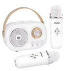 Bluetooth Dual Mic Kids Mini Karaoke