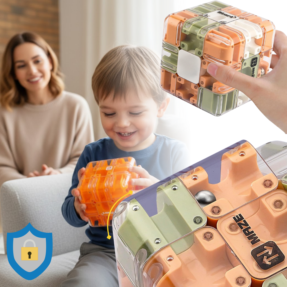 Brain Builder Maze Cube