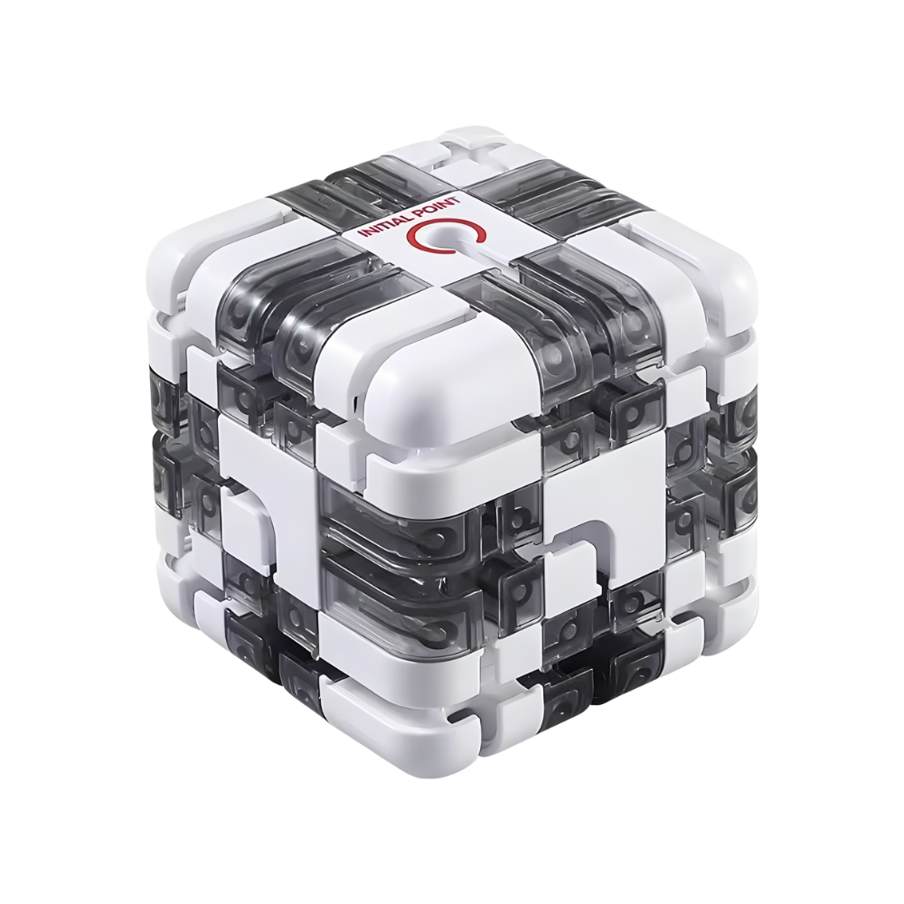 Brain Builder Maze Cube