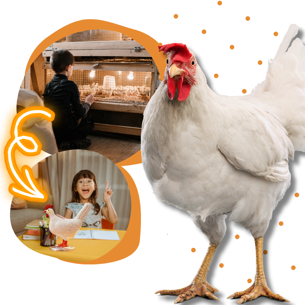 Cozy Chicken Egg Lamp