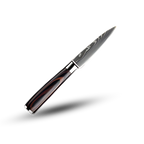 Pakka Wood Japanese Knife