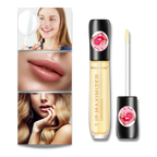 Lip Plumper Gloss