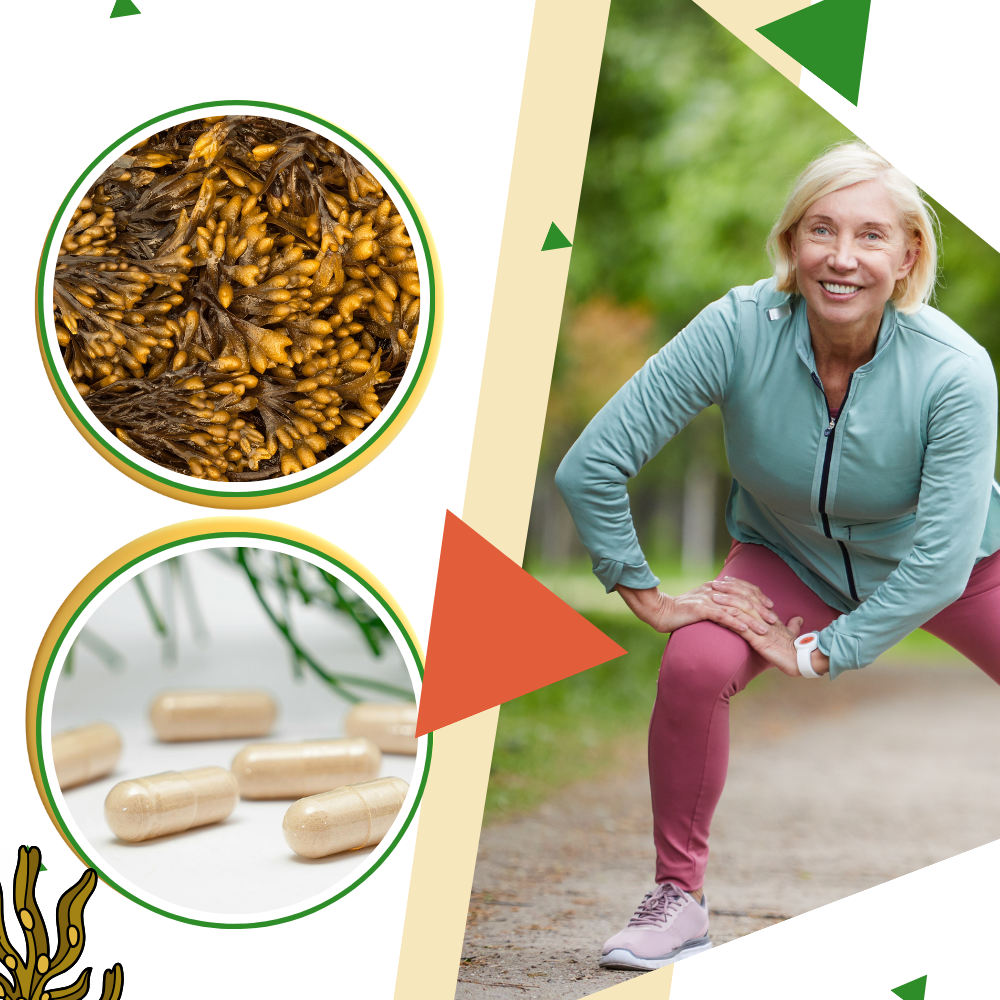 Marine Herb Supplement