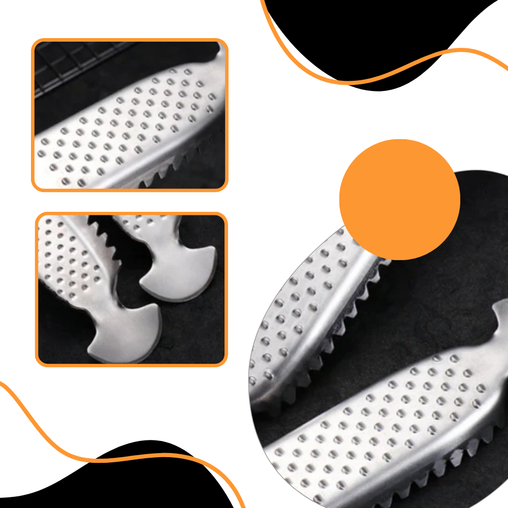 Multi-Functional Fish Scaler