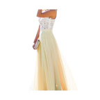 Prairie Chic Lace Chiffon Dress