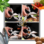 Razor Sharp Kitchen Shear